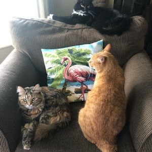 Meet your Posher, Mary